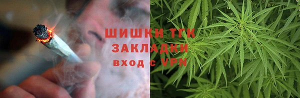 гидра Алексин