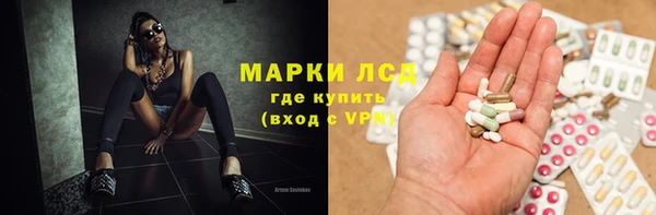 шишки Снежногорск