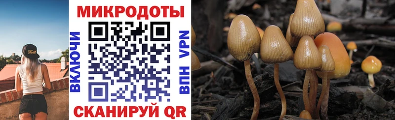 Галлюциногенные грибы Cubensis  Жиздра 